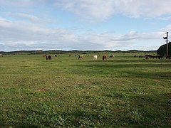 Groene weiden van Greenough