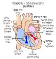 תמונה ממוזערת לגרסה מ־11:46, 27 באוקטובר 2012