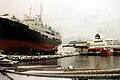 Finnmarken im Museum und Trollfjord im Hafen