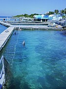 Bassins des dauphins du parc Dolphin Discovery Islas Mujeres.