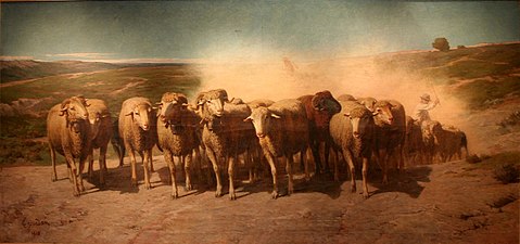 Troupeau de moutons en avant-garde du troupeau