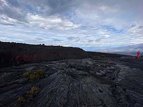 Mauna Loa'nın Kuzeydoğu Rift Bölgesi'nden bir lav akışı