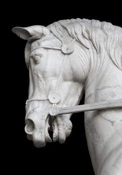 Détail de la statue équestre de Marcus Nonius Balbus (IVe siècle av. J.-C., musée archéologique national de Naples), retrouvée au XVIIIe siècle à Herculanum. (définition réelle 2 905 × 4 158)