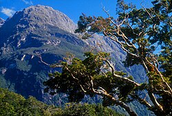 Der Sheerdown Peak in Fiordland auf der Südinsel