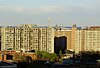 Moss Park Buildings Toronto.jpg