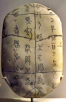 一个刻有古汉语文字的灰白色卵形龟甲