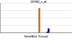 PBB GE PAPPA 201982 s at tn.png