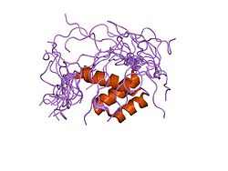 PDB 1wi3 EBI.jpg