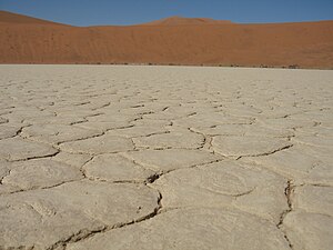 English: Common view of parched earth in Dead Vlei