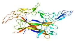 Протеин NGFR PDB 1sg1.png