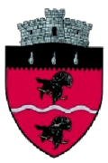 Wappen von Cârlibaba
