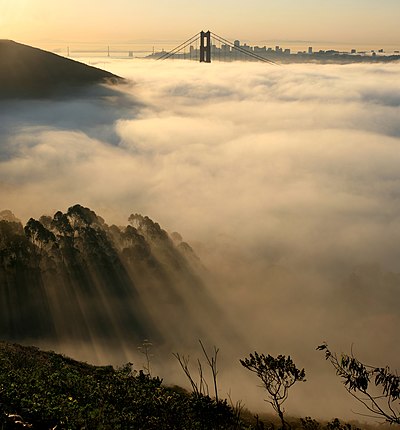 Sinar krepuskular melewati pohon-pohon di Francisco. Tampak di kejauhan Jembatan Golden Gate, Kota San Francisco dan Jembatan Teluk.