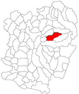 Kaart van Slatina-Timiș