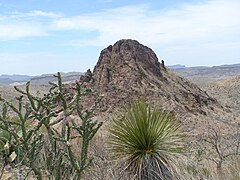 Big Bend Ranch