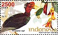 ID095.08, Indonesia, 5 November 2008, Provincial Flora & Fauna - Rhinoplax vigil & Shorea stenoptera