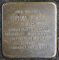 Stolperstein für Sylvia Kohn (Thieboldsgasse 6)