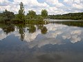 Na Osiedle Paderewskiego obok Doliny Trzech Stawów przybyliśmy z synem Tomkiem a po 13 latach już z córką Hanią przeprowadziliśmy się do Bogucic.