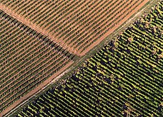 Tokaj vinområde