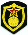 Войска РХБЗ (после 1973 года)
