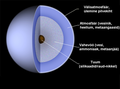 Pisipilt versioonist seisuga 6. august 2011, kell 14:23