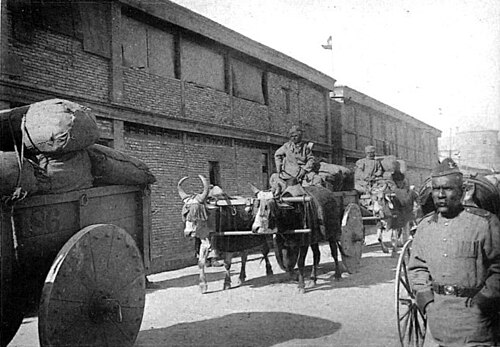 Voiture à bœufs conduite par des Sikhs