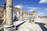 Interior view of a ruined colonnaded building showing the interior columns