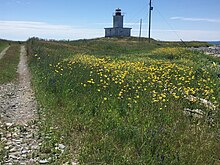 WhiteHeadIslandNB.jpg