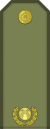 01.Kyrgyzstan Army-PV.svg