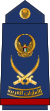 14-UAEAF-LG.svg