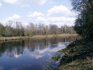 The river Nemunelis at Velniapilis village
