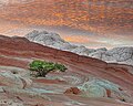 Vermilion Cliffs National Monument