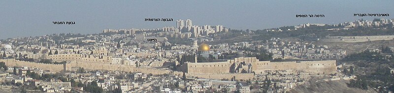 Widok na Wzgórze Świątynne w Jerozolimie. W tle (po prawej stronie) widoczna góra Skopus z kampusem Uniwersytetu Hebrajskiego