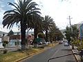 Av. Revolución.