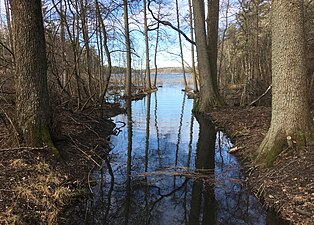 Bäckravinen mellan Flaten och Drevviken.