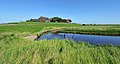 Warften: Backenswarft, Hallig Hooge.