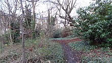 Barnsbury Wood 6.JPG