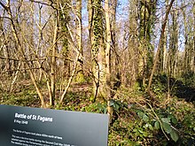 Woods near the site of the battle, photographed in 2022 Battle of St Fagans woods.jpg