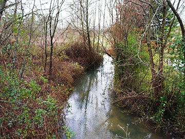 La Beauronne en limite de Chantérac (à gauche) et Saint-Vincent-de-Connezac, au pont de la RD 44.