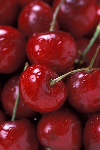 The Bing cherry owes its development to the Ch...