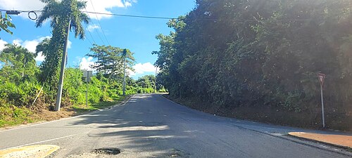 Puerto Rico Highway 836 in Santa Rosa