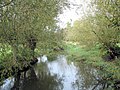 River Thame at Chearsley, view from footbridge at the Cuddington parish boundary.