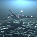 Computer Simulation Imply Forelimb-Dominated Underwater Flight in Plesiosaurs.