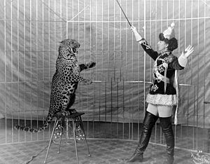 Female animal trainer and leopard.