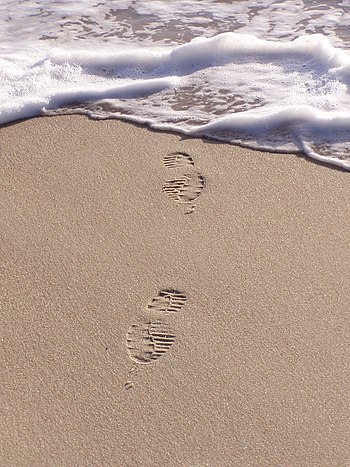 Footprints in sand. Marinha Grande, Portugal.