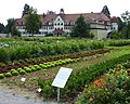 Essbare Gärten vor Haus Schönblick