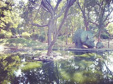 Indroda Dinosaur and Fossil Park, Gandhinagar