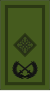 Ирландия-Армия-OF-7 camo.svg