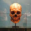 Kennewick Man.jpg