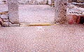 Casa di Kerkouane con un mosaico contenente il Segno di Tanit (fine IV – inizio III sec. a.C.)