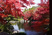 好古園御屋敷の庭（兵庫県姫路市）